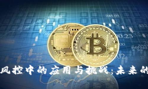 区块链在金融风控中的应用与挑战：未来的金融安全保障