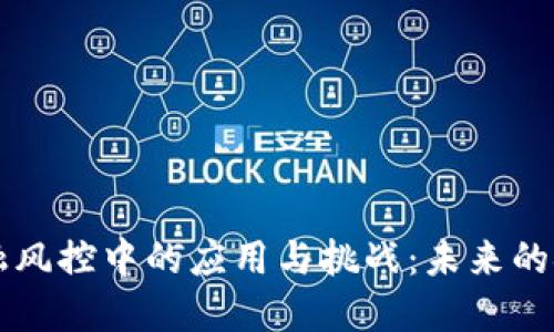 区块链在金融风控中的应用与挑战：未来的金融安全保障