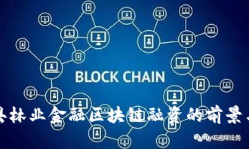 武平县林业金融区块链融资的前景与挑战